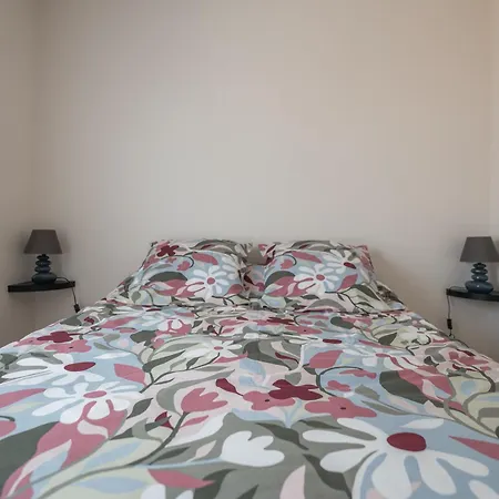 アパート 1 Chambre, Balcon Et Acces Direct A La - Fr-1-197-596 *